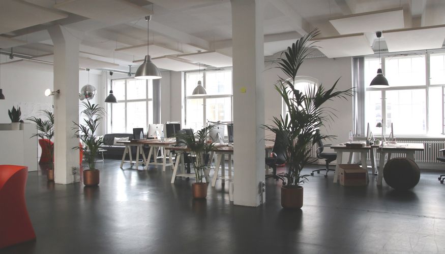 Consectetur lacus arcu non neque mattis risus